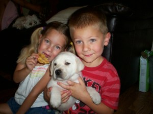 Cookies or Puppies ? Answer BOTH