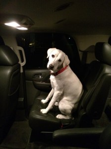 Are you guys ready yet ?  I am waiting.     