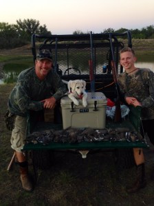 Dove hunting!