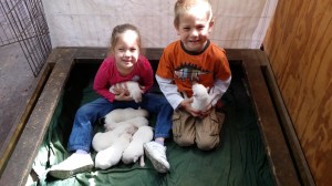 Valentines Puppy Love