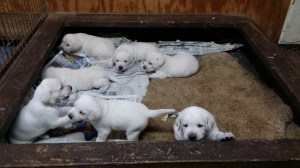 We are ready to get out of here.