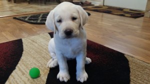 That look just melts my heart.