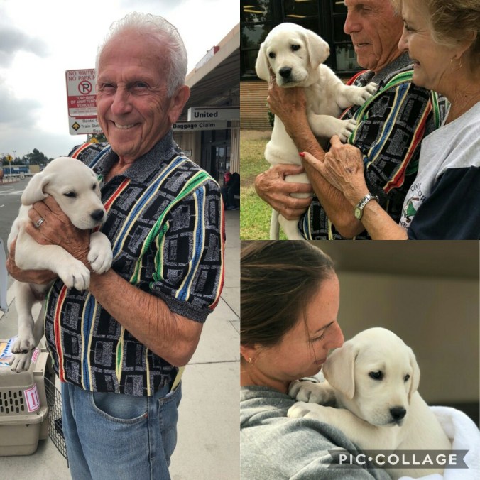 Collage 2017-10-31 15_19_31