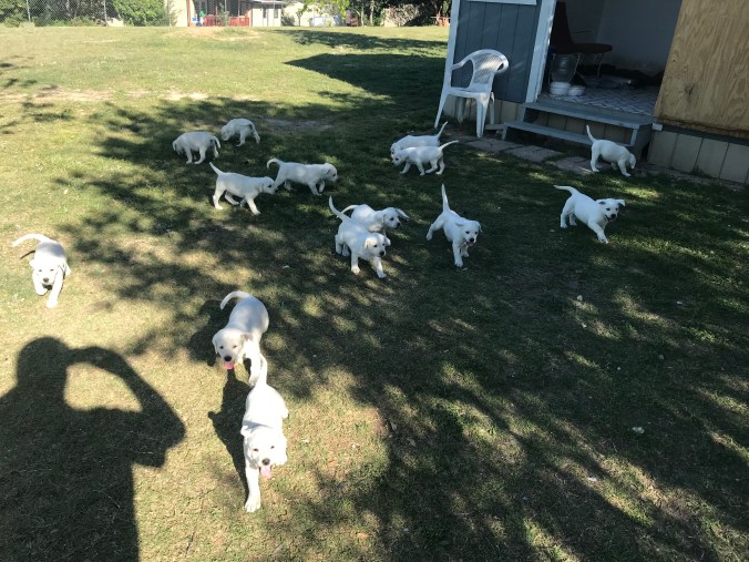 1B70A299-63D2-43C7-9F93-9CF0ACDB03C6