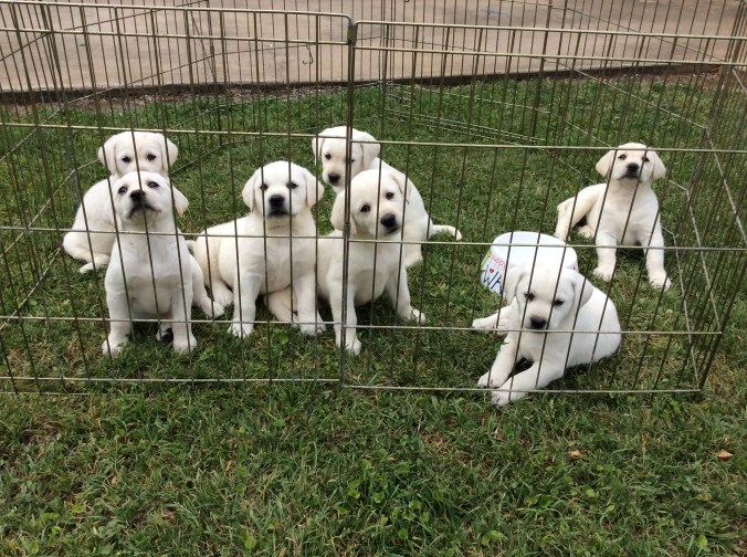 636A2718-5073-4957-84FD-13975307315C