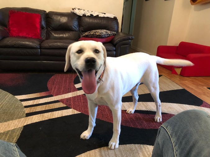 EF568A4B-3486-44A2-A1C5-543E94FB44AA