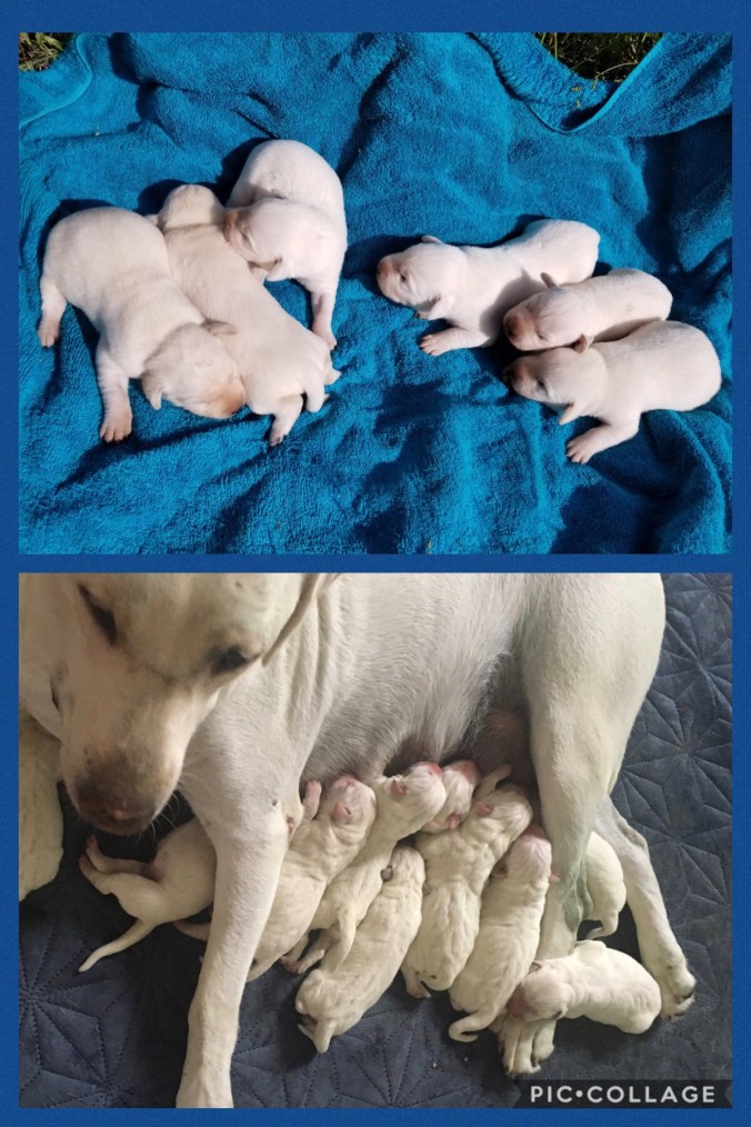 56BCB8D2-70C3-4775-B424-1665C1861B3E