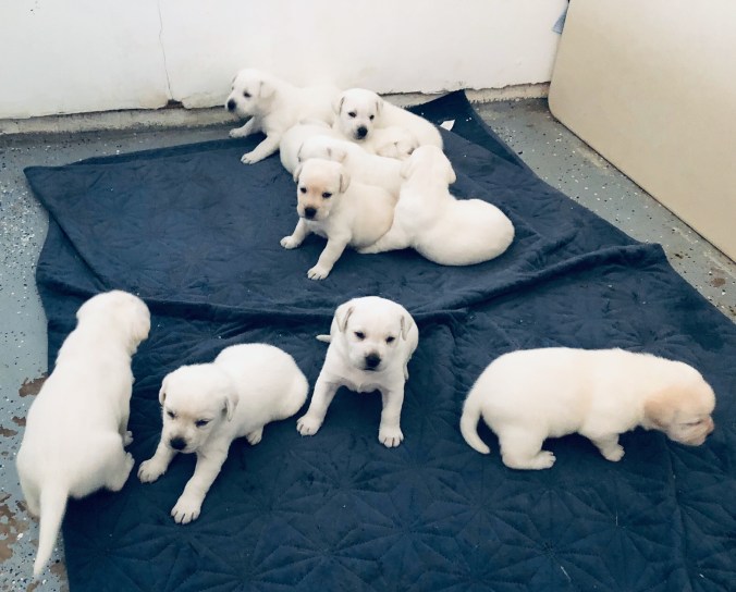 0E3BD202-B8C2-4807-8ABF-93151EC8ED18