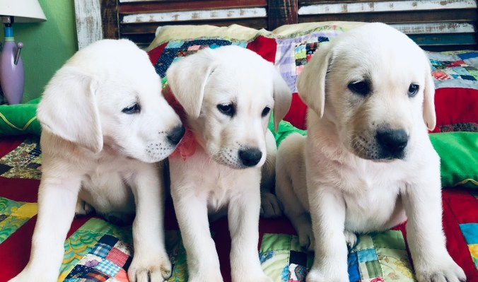 240F2AA1-8BAA-4E47-B581-1DA824A217B6