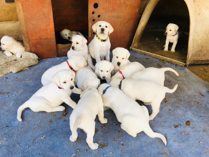 D70F4568-1D6E-4B78-BE8F-FDF43AB4D2E5