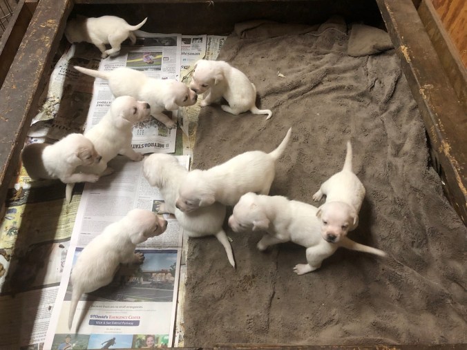 51070e92-3787-42dd-b927-565aa961a01d