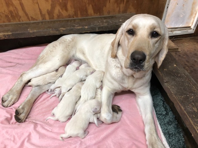 3766F4DD-798D-4EA6-8454-D4E8CE927CD9