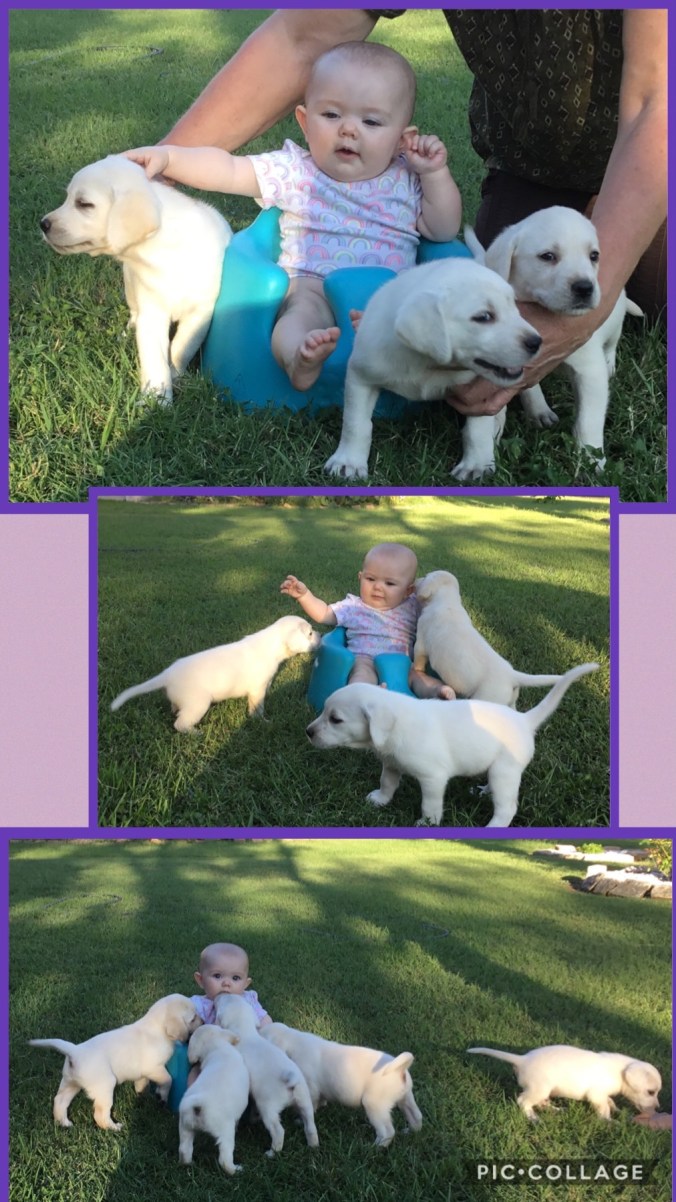 940E0F3A-6F85-4DBC-998C-3B7D8B69D7A3