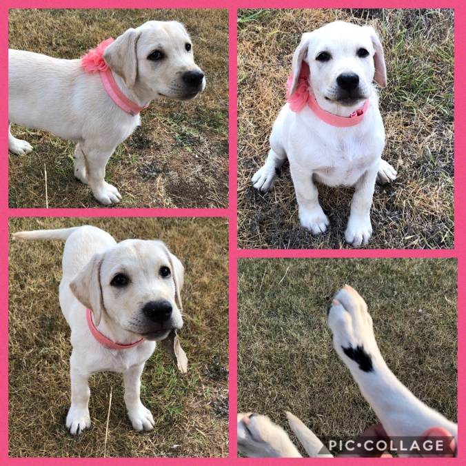 2798B91E-8937-40AD-AE39-720719D48476