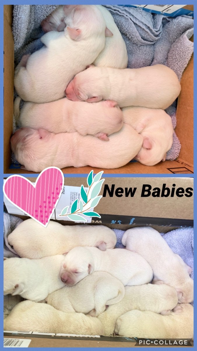 6546AEAD-983E-42B4-AB6C-51B6BCD35B99