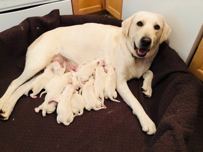 FC60D243-F403-46BA-9E5D-286207B70B01