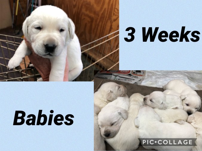 3C5409C1-69D3-4E2B-92E7-B8A18F3417B9