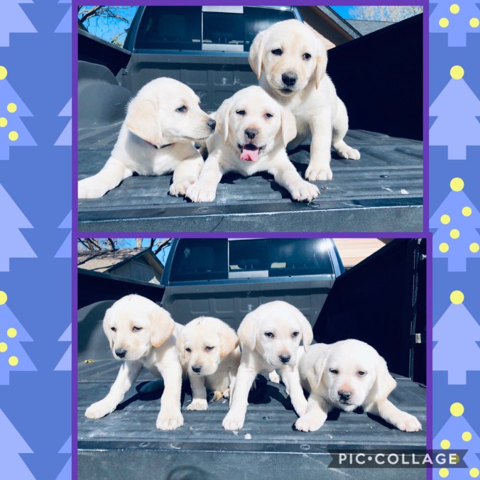 4C0D07C2-6299-49F4-A3C4-6E8EFFE5C5ED