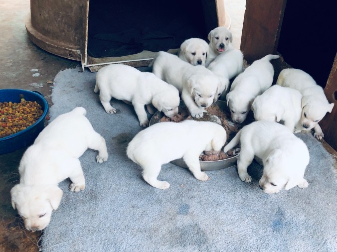 CFD0727B-DE75-40FE-A141-7C1F203D2938