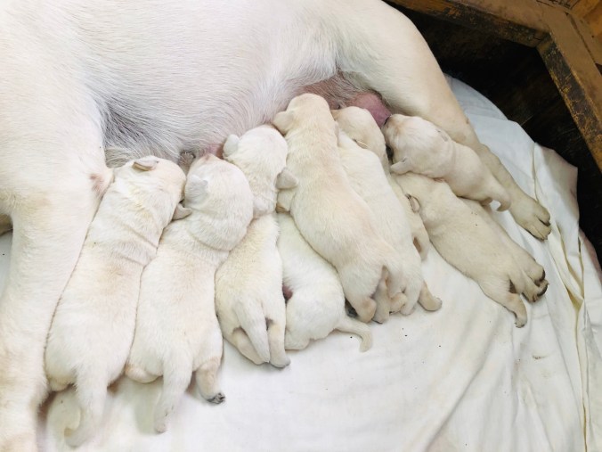 DA8E5667-32EC-4934-89DA-B3040F49C1C2