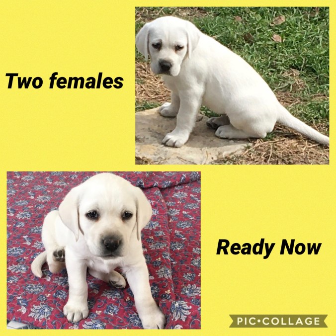 0D6FBE10-87BF-4A4A-9BB2-6C56D0AB44CE