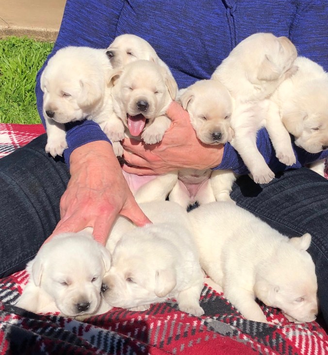 783DD622-D307-4639-A9A6-9C188CC1651F