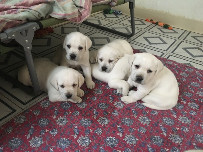 80C61AAA-835F-465A-BB7F-262802C4779E