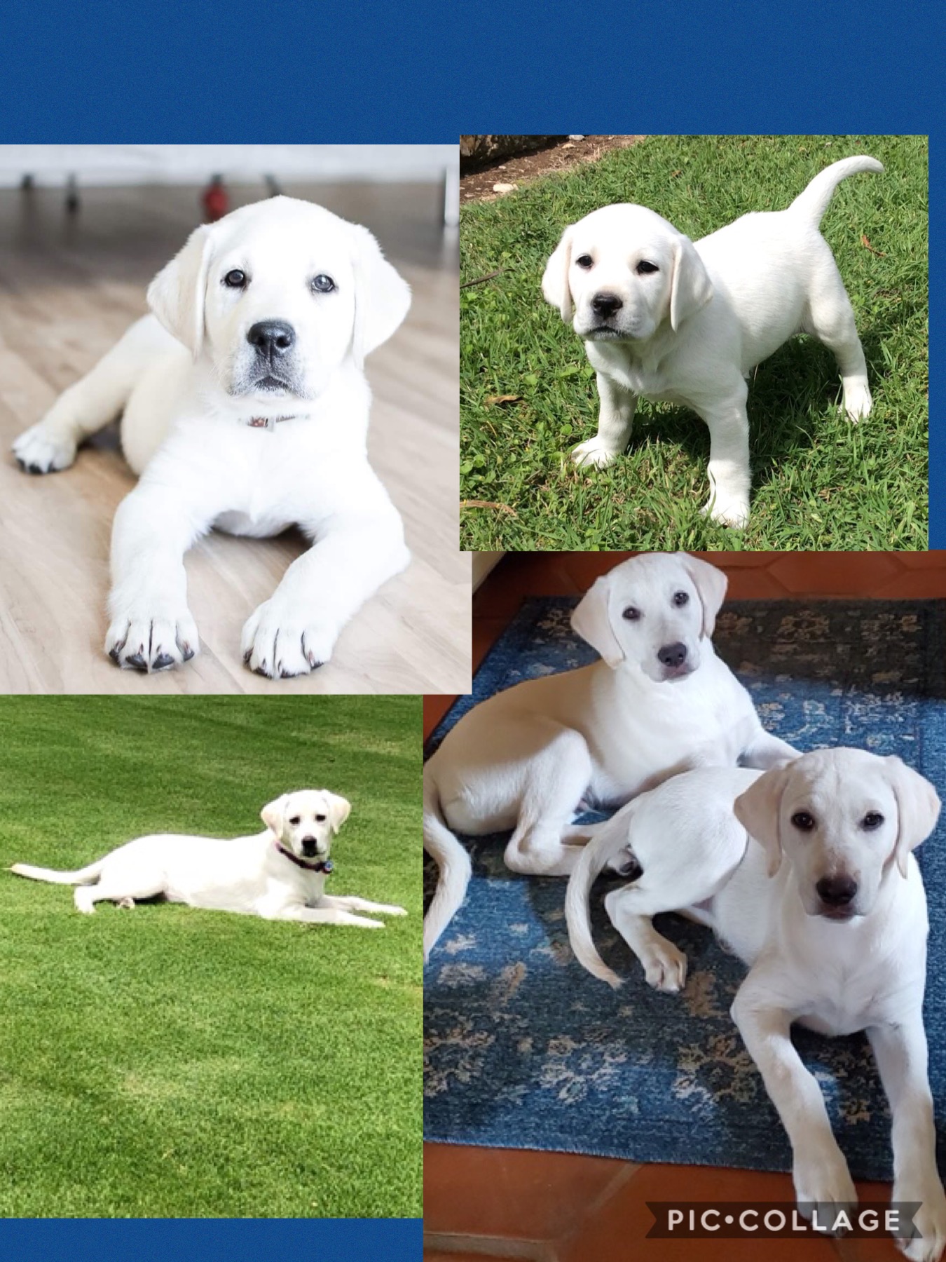 05BA3832-FA2F-4424-9AB9-67AF43A2FAF4