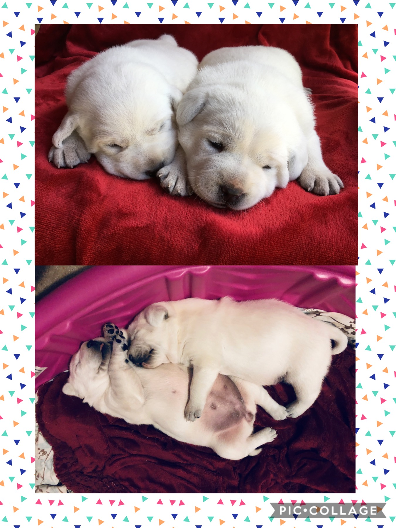 3C2E3144-B1A0-497B-9EBC-7557FC336318