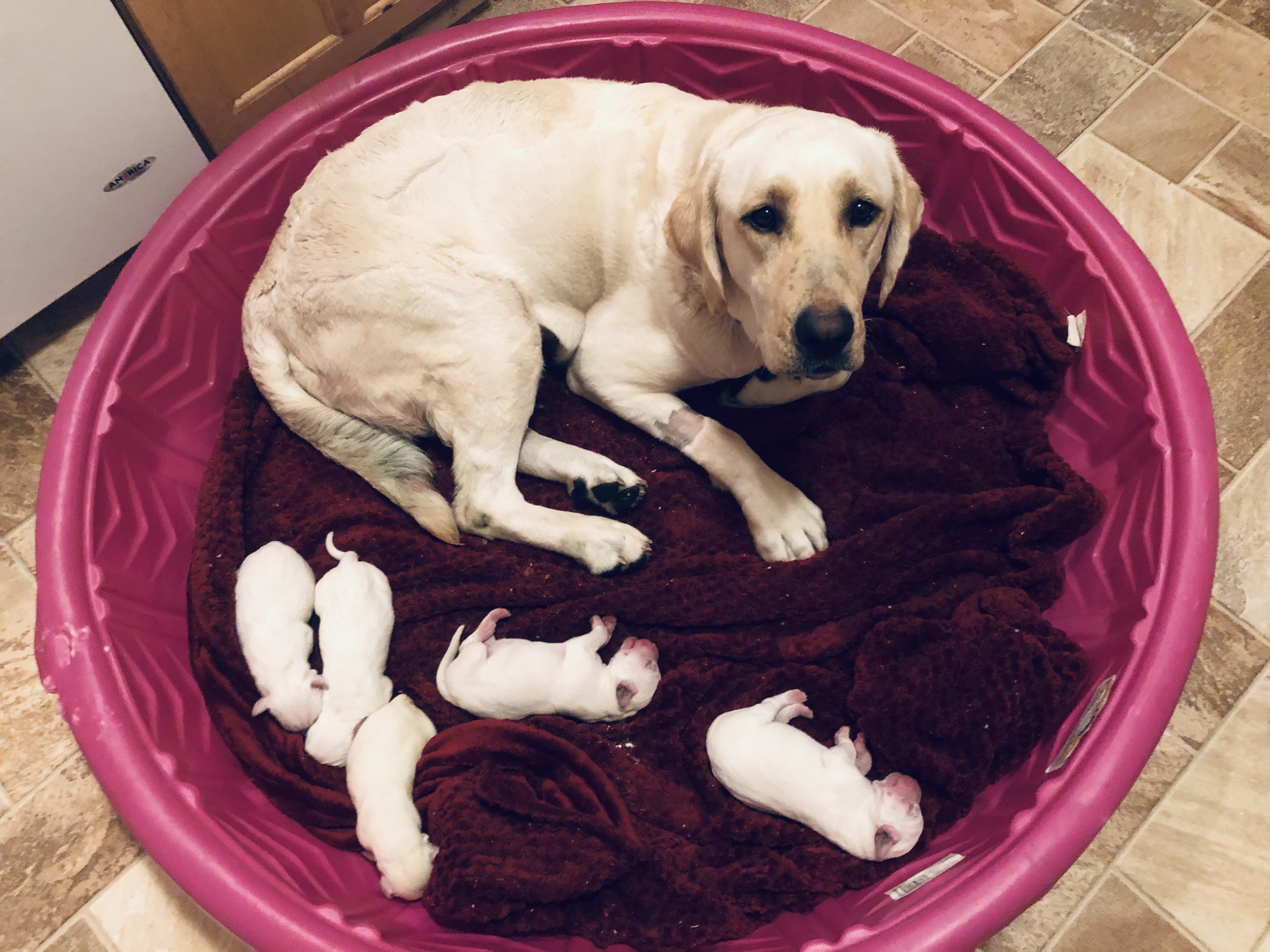 B16B96DF-3461-4CF1-9425-89C3BBEF7CB9