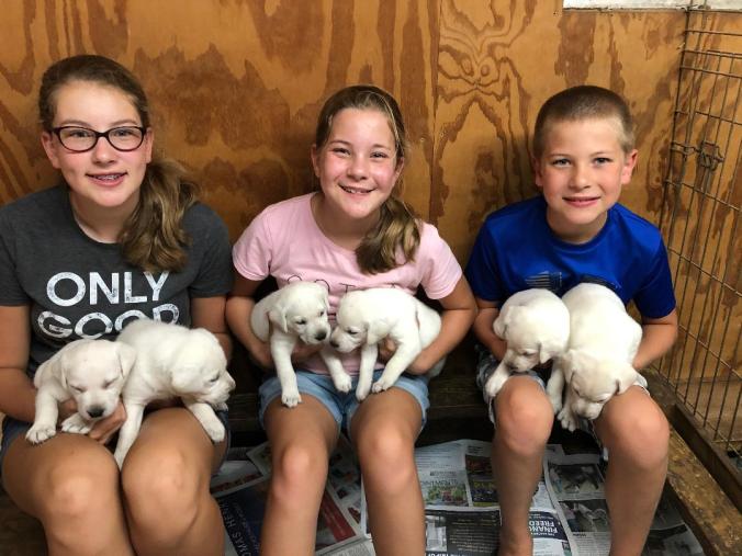 F3D3201A-2193-48B9-A23B-A5156B35FF00